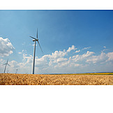   Wind Power, Alternative Energy, Green Electricity