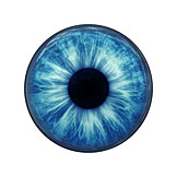   Auge, Blaues Auge, Iris, Pupille