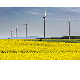  Rape Field, Alternative Energy, Wind Turbines