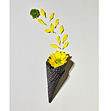  Flowers, Ice cream wafer