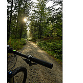   Wald, Fahrradfahren