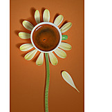   Flower, Coffee, Petal