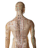   Akupunktur, Meridian, Akupunkturpunkte