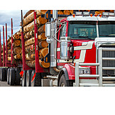   Truck, Heavy Transportation, Timber Truck