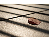   Light and shadow, Autumn leaf, Grate