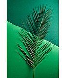   Green, Palm leaf