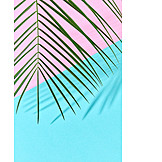   Palm leaf