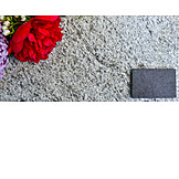   Frühlingsblume, Granit, Schieferplatte