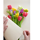   Blumenstrauß, Verpacken, Einwickelpapier