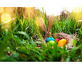   Easter, Easter Nest, Easter Eggs, Egg Hunt