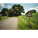   Cow, Warning, Road