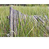   Grass, Wooden Fence