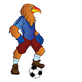   Soccer, Eagle