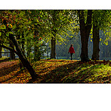   Park, Autumn, Walk