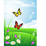   Schmetterling, Blumenwiese, Frühling