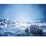  Lights, Snow, Gift