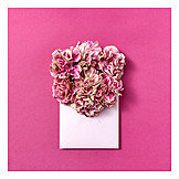   Flowers, Valentine, Love Letter