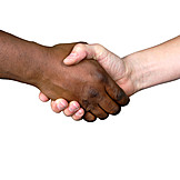   Friendship, Cooperation, Encounter, Solidarity, Handshake