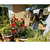   Garden, Balcony, Potted Plants, Patio, Birdhouse, Insect Hotel