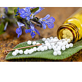   Homeopathic, Acupuncture, Acupuncture Needle