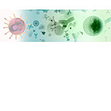   Wissenschaft, Antikörper, Coronavirus