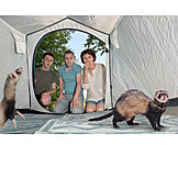   Surprise, Family, Tent, Ferret