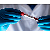   Laboratory, Blood Sample, Blood Examination, Corona Virus