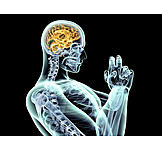   Research, Motion, Brain, Neurology