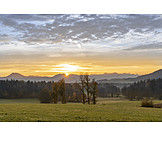   Sunrise, Meadow, Pasture, Upper Bavaria