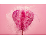   Heart, Feather
