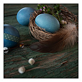   Easter egg, Bird's nest, Bird feather