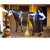   Horse, Cladding, Witch, Halloween