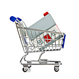   Property, Cart, Buying House