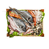   Seafood, Ingredient, Prepared Fish, Raw