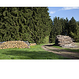   Forstwirtschaft, Nadelwald, Holzlager