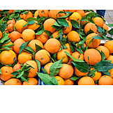   Oranges