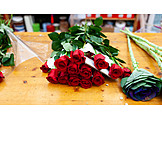   Rote Rosen, Floristik