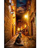   Night, Cat, Alley, Kotor