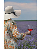   Nature, Summer, Red Wine, Excursion