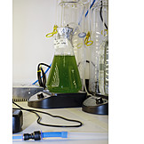   Research, Laboratory, Micro-algae