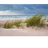  Beach, Coast, North Sea, Marram Grass