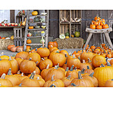   Pumpkin, Thanksgiving, Vegetables, Autumn Decoration