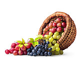   Früchte, Weintrauben, Flechtkorb