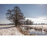   Tree, Field, Winter, River