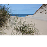   Beach, Sand, Dune, Marram Grass