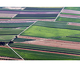  Arable, Agriculture, Fields