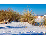  Winter, Dune, Baltic Sea Coast