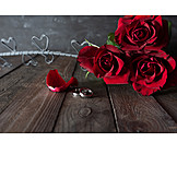   Love, Red Roses, Marriage Proposal