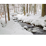   Forest, River, Snow