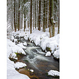   Winter, Bavarian Forest, River Ohe